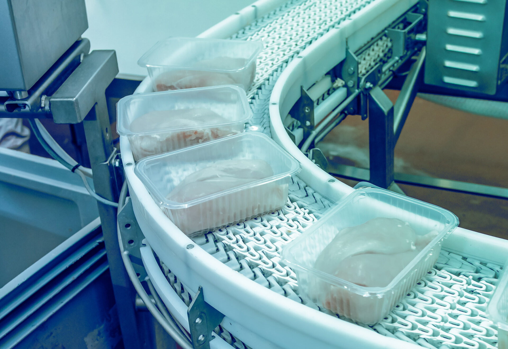 Gestire la complessità dei flussi organici: continuità ed efficienza nella lavorazione alimentare