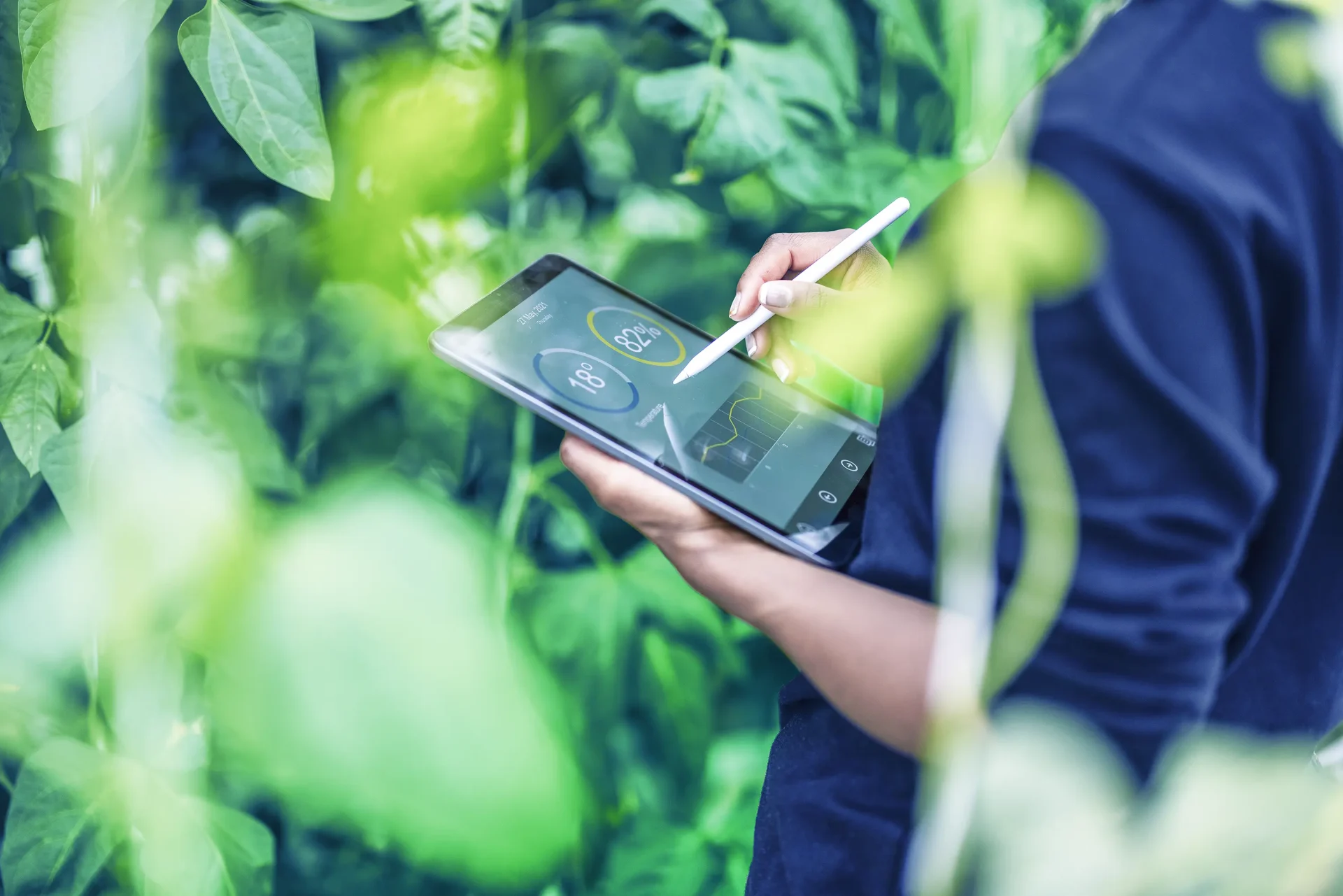 L’impatto ambientale dei rifiuti alimentari: strategie efficaci per ridurre gli sprechi GI 1324869840 L’impatto ambientale dei rifiuti alimentari: strategie efficaci per ridurre gli sprechi