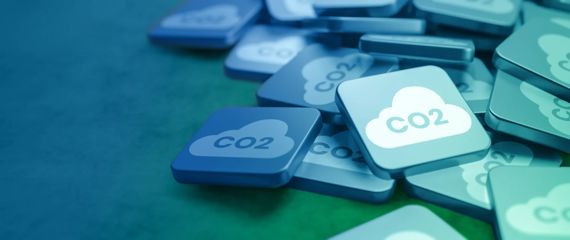 Guida completa alla compensazione della CO2: come e perché farla GI 1421217733 Guida completa alla compensazione della CO2: come e perché farla